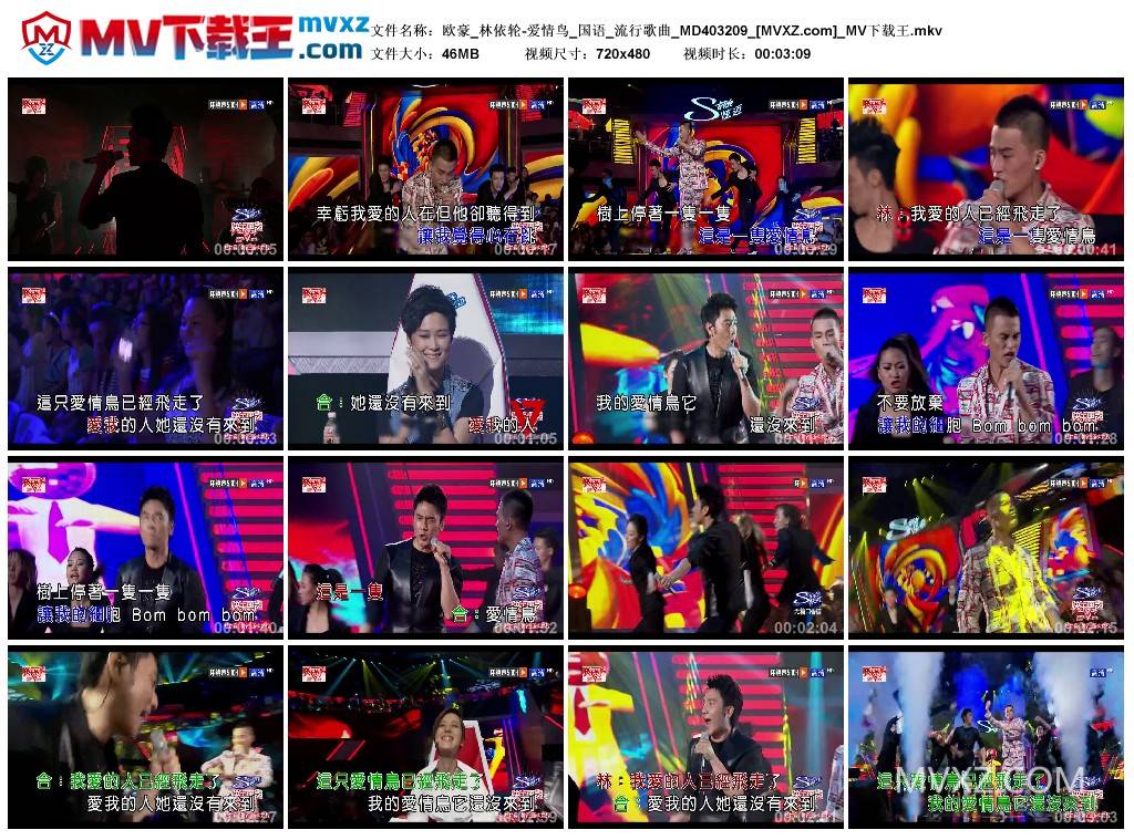 欧豪_林依轮-爱情鸟_国语_流行歌曲_MD403209